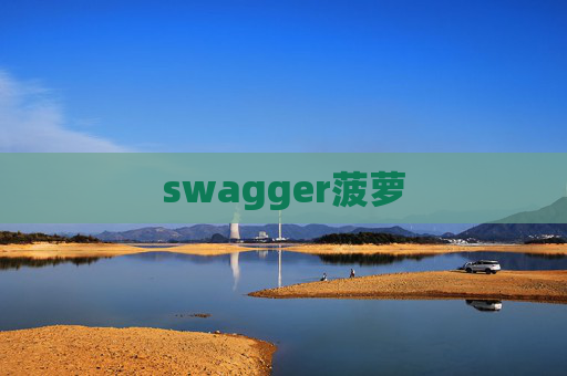 swagger菠萝